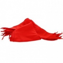 红领巾红领巾【证书】 大号